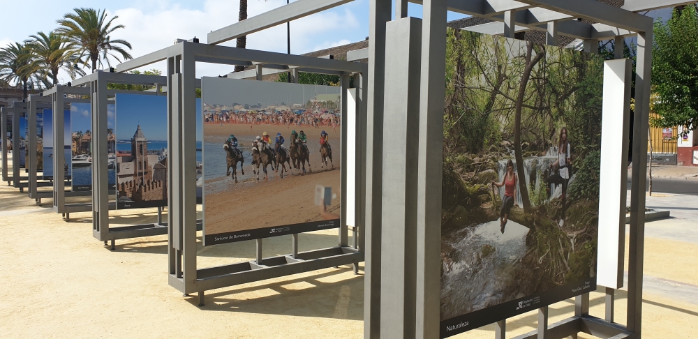 Las Carreras de Caballos en la Exposición Fotográfica
