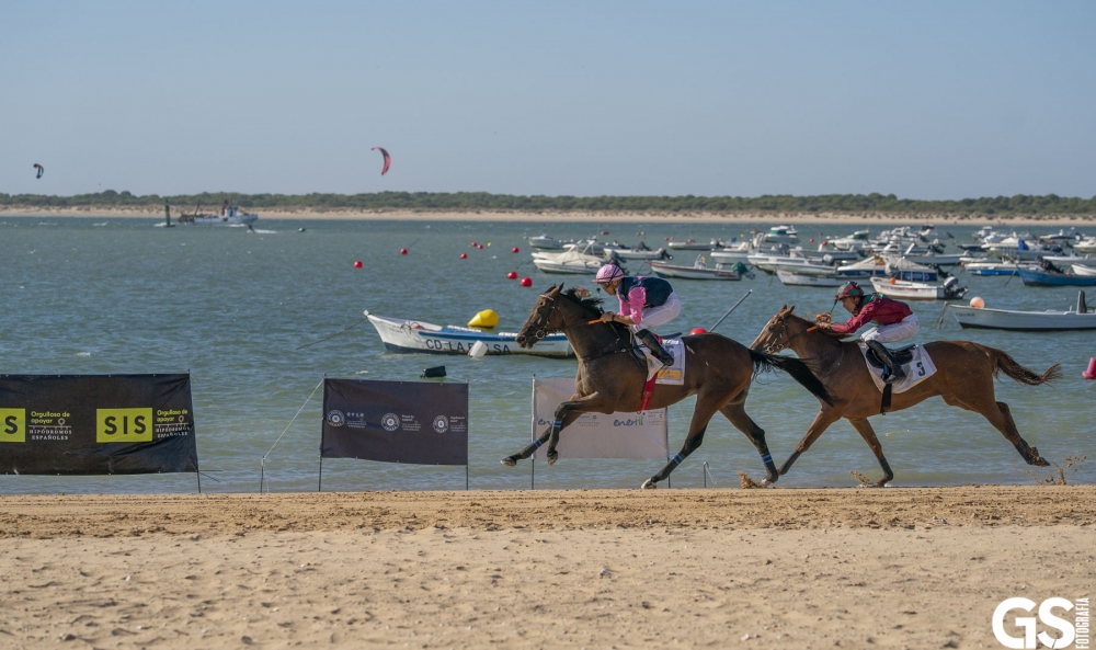YA SE CONOCEN LOS CABALLOS INSCRITOS PARA EL SEGUNDO CICLO DE CARRERAS DE CABALLOS EN LAS PLAYAS DE SANLÚCAR